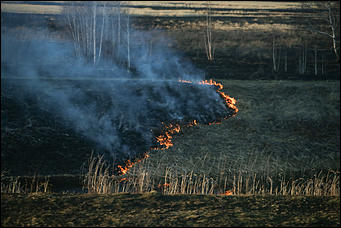 23 апреля 2019 г., Барнаул. Екатерина Смолихина   Неуправляемая стихия: как в Алтайском крае горят поля
