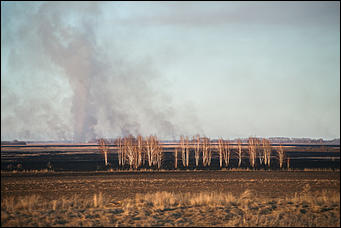 23 апреля 2019 г., Барнаул. Екатерина Смолихина   Неуправляемая стихия: как в Алтайском крае горят поля