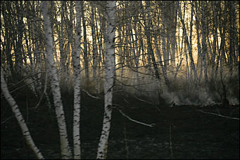 23 апреля 2019 г., Барнаул. Екатерина Смолихина   Неуправляемая стихия: как в Алтайском крае горят поля