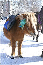 6 марта 2010 г., Барнаул   Барнаул встречает весну