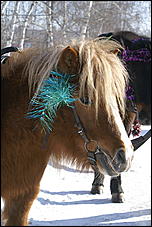 6 марта 2010 г., Барнаул   Барнаул встречает весну