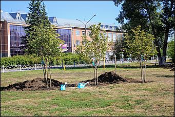 23 декабря 2020 г., Барнаул   Пандемия, Конституция, День Победы. Главные события 2020 года на Алтае в фотографиях