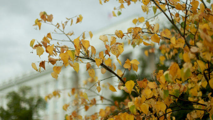 14 августа 2018 г., Барнаул. Екатерина Смолихина   Цвет настроения – осень: фоторепортаж с улиц Барнаула