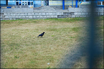 14 августа 2018 г., Барнаул. Екатерина Смолихина   Цвет настроения – осень: фоторепортаж с улиц Барнаула