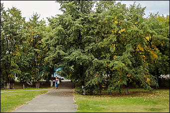 14 августа 2018 г., Барнаул. Екатерина Смолихина   Цвет настроения – осень: фоторепортаж с улиц Барнаула