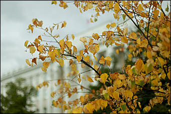 14 августа 2018 г., Барнаул. Екатерина Смолихина   Цвет настроения – осень: фоторепортаж с улиц Барнаула