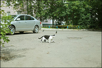 14 августа 2018 г., Барнаул. Екатерина Смолихина   Цвет настроения – осень: фоторепортаж с улиц Барнаула