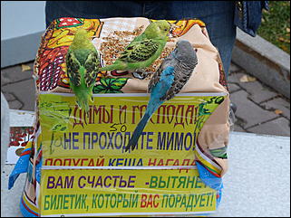 15 сентябрь 2012 г., Барнаул   Празднование Дня города и выставка ретротехники