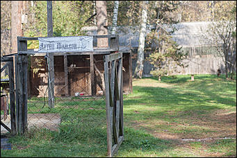 4 октябрь 2016 г., Барнаул © Амител Вячеслав Мельников   Птичий дом для высокого полета: как живут соколы в барнаульском питомнике