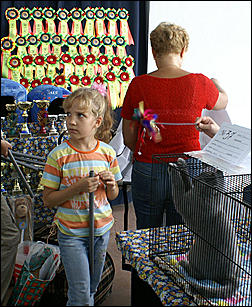 30 августа 2008 г., Барнаул   Выставка кошек в День рождения Барнаула