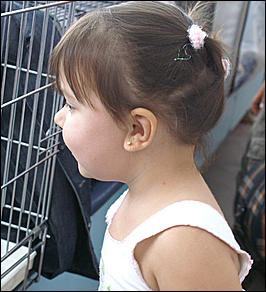 30 августа 2008 г., Барнаул   Выставка кошек в День рождения Барнаула