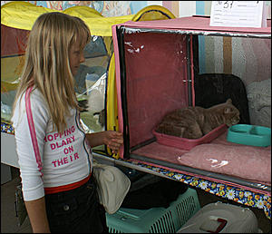 30 августа 2008 г., Барнаул   Выставка кошек в День рождения Барнаула