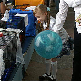 30 августа 2008 г., Барнаул   Выставка кошек в День рождения Барнаула