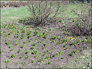 19 апреля 2011 г., Барнаул   Ранняя весна