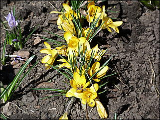 19 апреля 2011 г., Барнаул   Ранняя весна