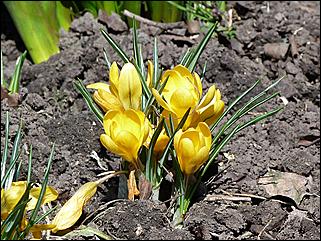 19 апреля 2011 г., Барнаул   Ранняя весна