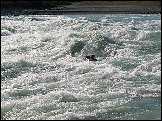 1-2 сентября 2007 г.,  Онгудайский район Республики Алтай   Кубок России по рафтингу