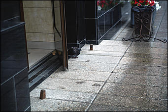 24 августа 2018 г., Барнаул. Екатерина Смолихина   Дождь в городе: уличные фотографии Барнаула