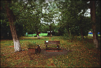 24 августа 2018 г., Барнаул. Екатерина Смолихина   Дождь в городе: уличные фотографии Барнаула