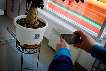 2 июня 2013, г.Барнаул   Презентация KIACerato и pro_ceed– праздник для всей семьи