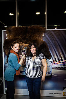    В краевой столице открылся уже второй автоцентр Renault.