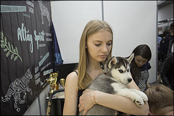 28 апрель 2017 г., Барнаул   Алтай готовится к приему курортников. Фоторепортаж с выставки "АлтайТур. АлтайКурорт" 