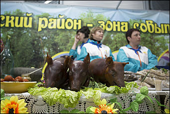 28 апрель 2017 г., Барнаул   Алтай готовится к приему курортников. Фоторепортаж с выставки "АлтайТур. АлтайКурорт" 