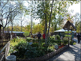 5 октябрь 2013 г., Барнаул   Осень в "Лесной сказке"