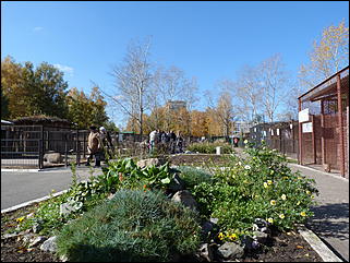 5 октябрь 2013 г., Барнаул   Осень в "Лесной сказке"