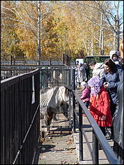 5 октябрь 2013 г., Барнаул   Осень в "Лесной сказке"