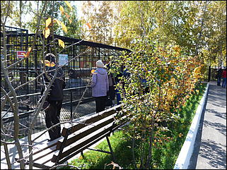 5 октябрь 2013 г., Барнаул   Осень в "Лесной сказке"