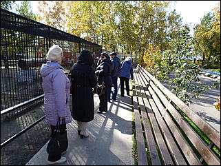 5 октябрь 2013 г., Барнаул   Осень в "Лесной сказке"