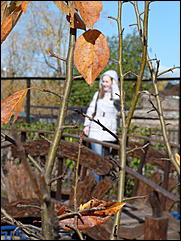 5 октябрь 2013 г., Барнаул   Осень в "Лесной сказке"