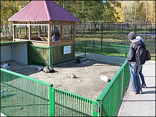 5 октябрь 2013 г., Барнаул   Осень в "Лесной сказке"