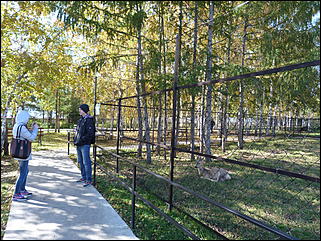 5 октябрь 2013 г., Барнаул   Осень в "Лесной сказке"