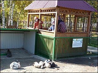 5 октябрь 2013 г., Барнаул   Осень в "Лесной сказке"