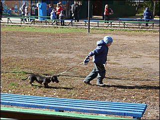 5 октябрь 2013 г., Барнаул   Осень в "Лесной сказке"
