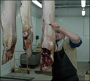 27 января 2006 г., Барнаул   Открытие нового пищекомбината 