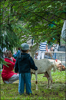 29 июнь 2013 г., Барнаул   Праздник "Сабантуй" (фото читателя)