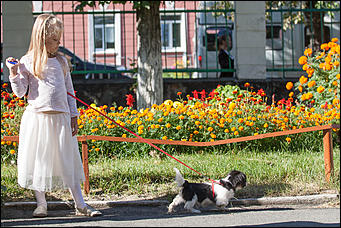 1 сентябрь 2016 г., Барнаул © Амител Вячеслав Мельников Цветы, банты, улыбки: как проходит День знаний в Барнауле