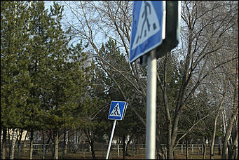 3 ноября 2017 г., Барнаул. Екатерина Смолихина   Рабочий поселок, вросший в город: фотопрогулка по Новосиликатному