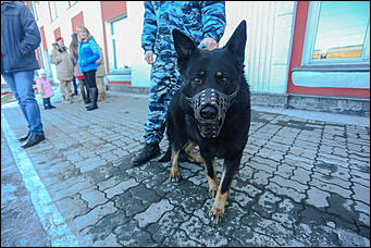15 марта 2019 г., Барнаул. Екатерина Смолихина   "Сирийский перелом" в Барнауле