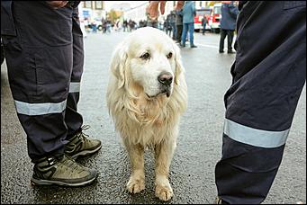 19 сентября 2020 г., Барнаул   "Стрижи", выставки и салют над Обью. Большой фоторепортаж с 290-летия Барнаула