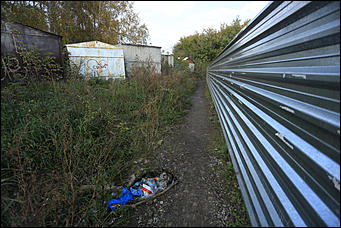 6 октября 2017 г., Барнаул. Екатерина Смолихина   Там, где кончается сказка: темная сторона парка Индустриального района