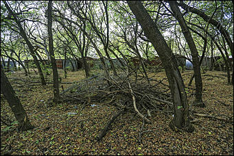 6 октября 2017 г., Барнаул. Екатерина Смолихина   Там, где кончается сказка: темная сторона парка Индустриального района