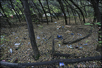 6 октября 2017 г., Барнаул. Екатерина Смолихина   Там, где кончается сказка: темная сторона парка Индустриального района