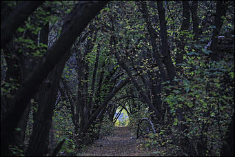 6 октября 2017 г., Барнаул. Екатерина Смолихина   Там, где кончается сказка: темная сторона парка Индустриального района