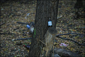 6 октября 2017 г., Барнаул. Екатерина Смолихина   Там, где кончается сказка: темная сторона парка Индустриального района