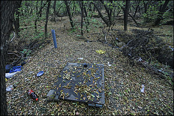 6 октября 2017 г., Барнаул. Екатерина Смолихина   Там, где кончается сказка: темная сторона парка Индустриального района