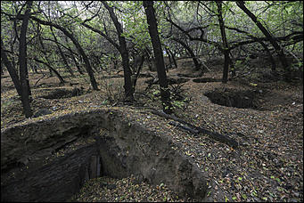 6 октября 2017 г., Барнаул. Екатерина Смолихина   Там, где кончается сказка: темная сторона парка Индустриального района